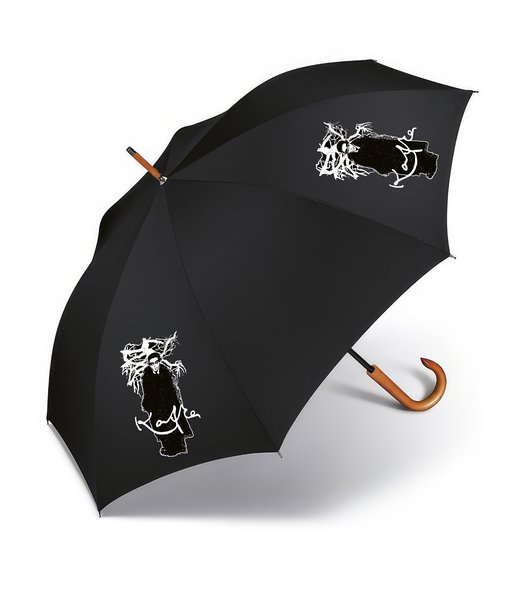 Umbrella Franz Kafka