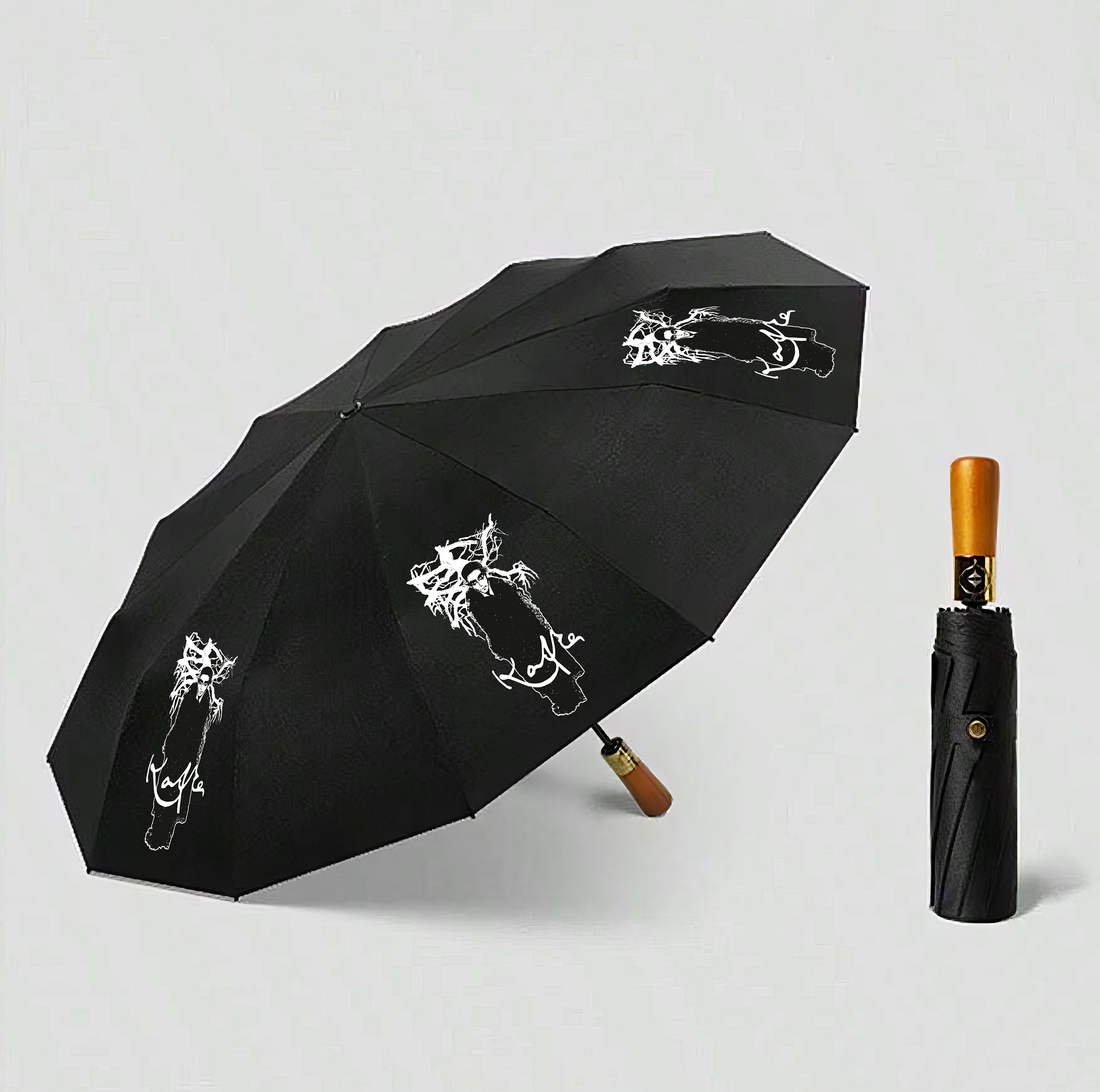 Regenschirm Franz Kafka
