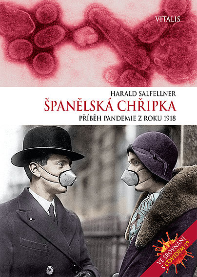 The Spanish Flu